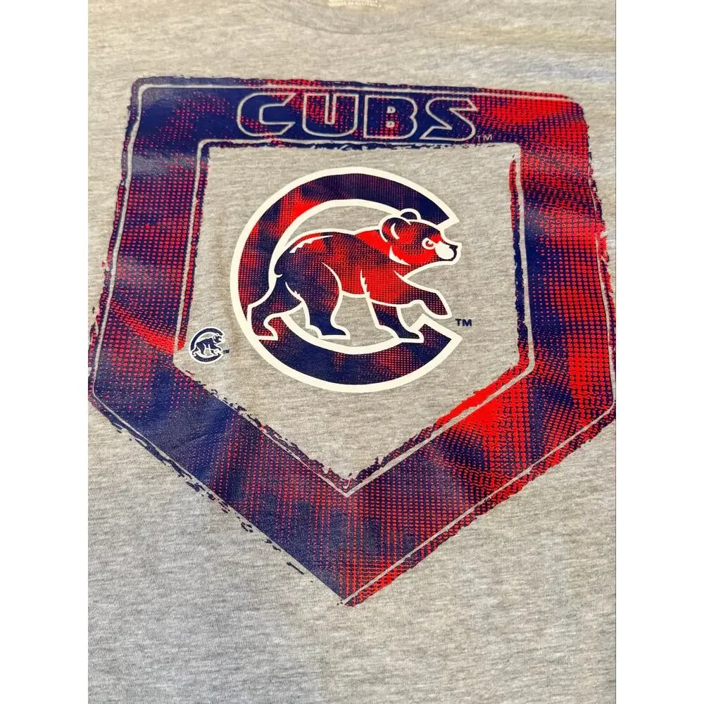 MLB Chicago Cubs Youth Boys Gray Short Sleeve Graphic T-Shirt Size L 14/16 NWT